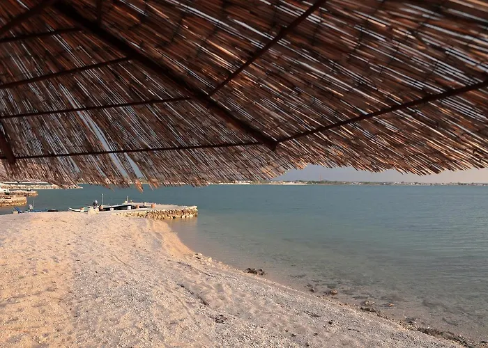 Апартаменты Anka *